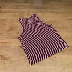 American Eagle Striped Crop Tank Top